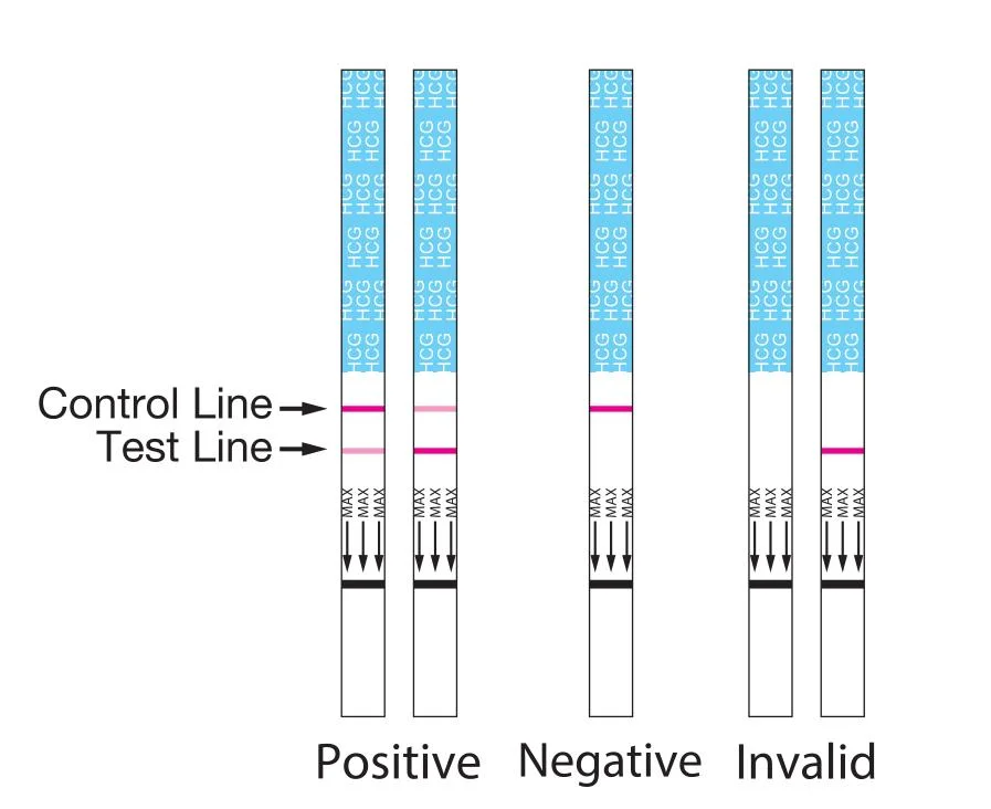 Hormone Testing at-Home Women&prime; S Fertility Test Early Pregnancy Detections