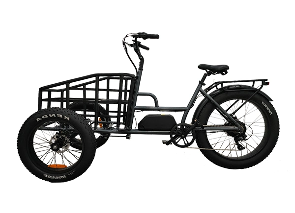 Nouveau modèle de tricycle à pneus gras électrique 48V 750W pour adulte.