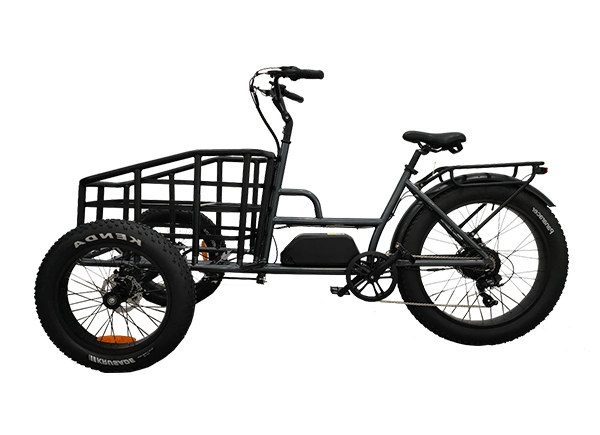 Brandneues Modell 48V 750W Electric Fat Tire Dreirad für Erwachsene