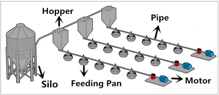 Alimentação/Linha potável automática do sistema de frangos de carne de frango Avicultura/Equipamento Agrícola