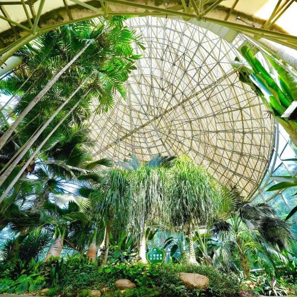 Arches Tunnel de Venlo Poly Film Po Green House pour l'Agriculture de l'agriculture cerisier/usine de ventilateur de la culture hydroponique de fraises