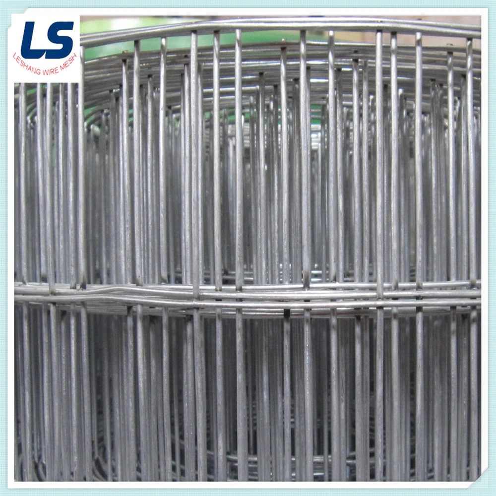 Hengshui Factory Welded Wire Iron Mesh/ Galvanized Welded Wire Mesh