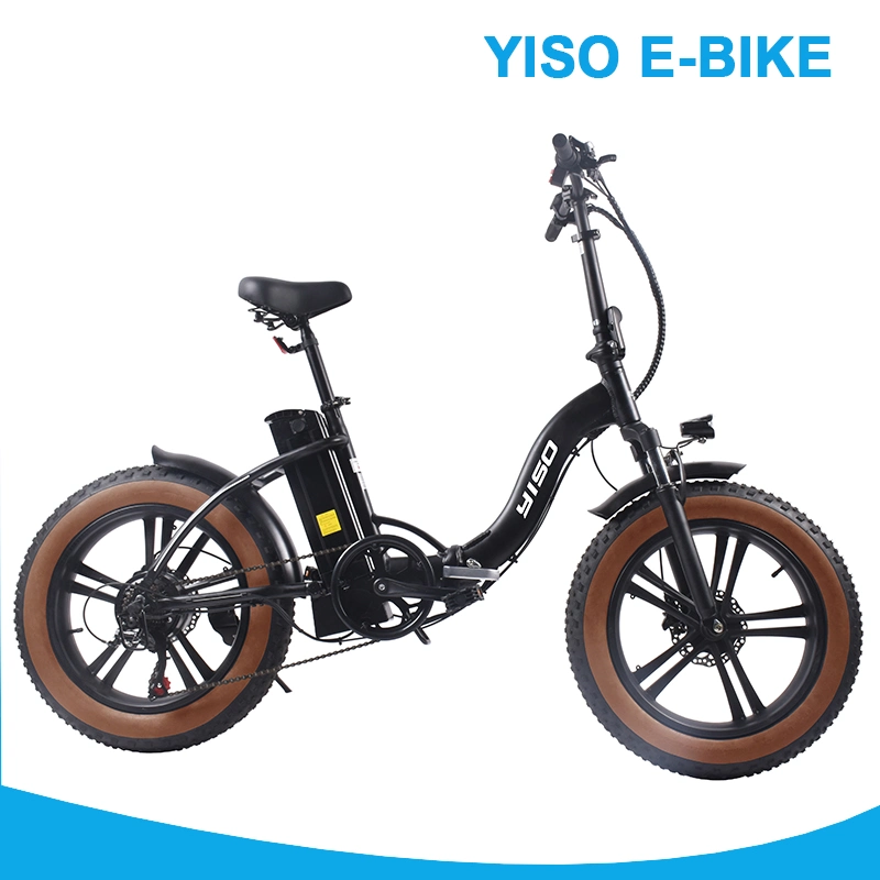 500W 750W Paso a través de 48V/20ah plegado eléctrico grasa Motor E-Bicycle