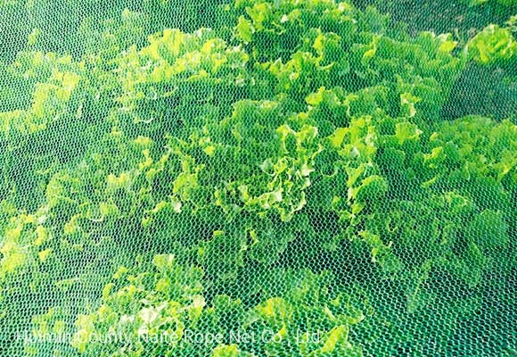 Agriculture 100% New HDPE Sun Shade Netting with High UV