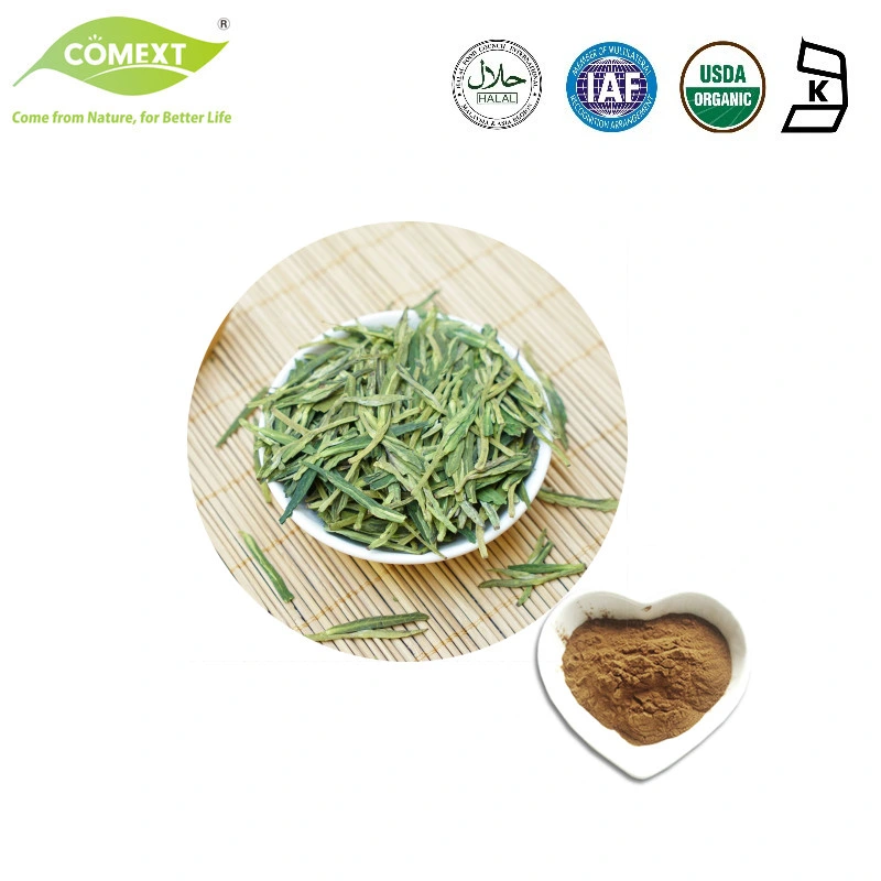 100% Natural Food Grade Green Tea Extract 98% Polyphenol 70% Catechin 45% EGCG