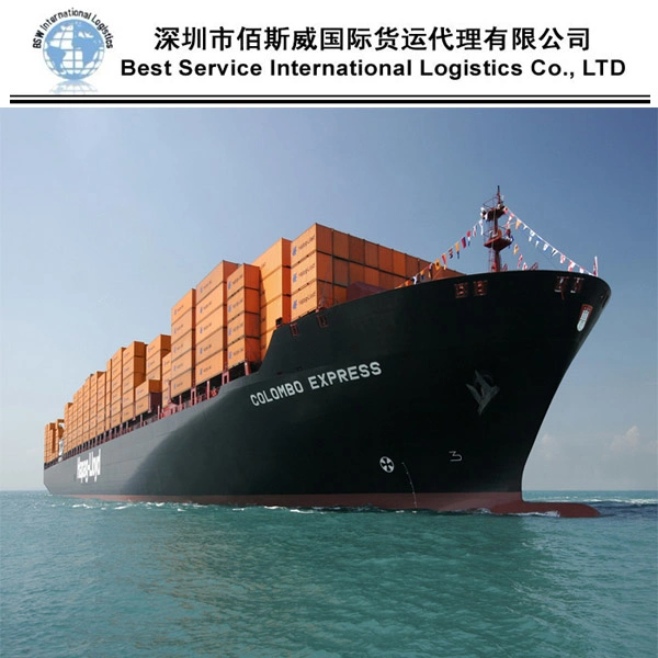 Transporte marítimo de porta a porta DDP FCL / LCL Frete de Despachante Marítimo de Ocean Logística da China para a República Checa