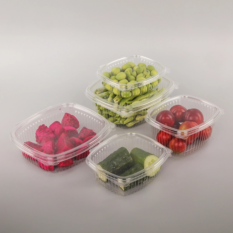 Plastic 8oz Pet Disposable Square Food Sushi Vegetable Fruit Hinged Container