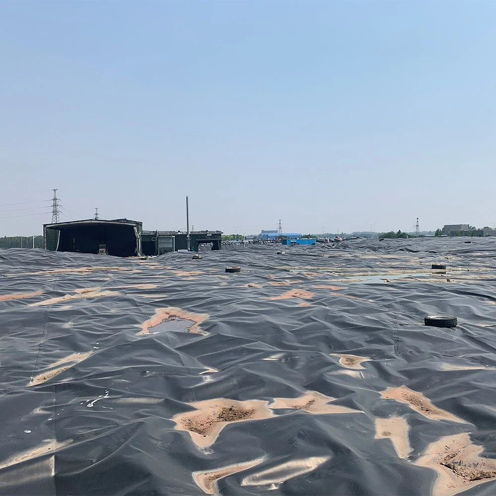 Root Barrier Textured Surface HDPE Geomembrane for Slope in Philippines