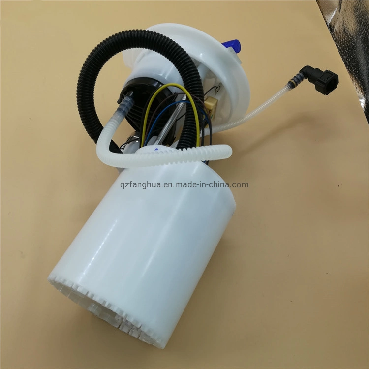 Auto Fuel Pump Assembly/Module for VW BS Passat B5 OEM 3bd 919 051c