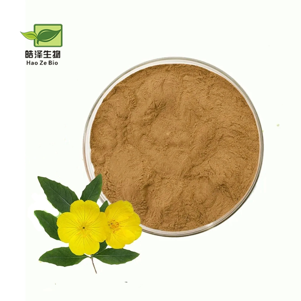 Free Sample 100% Natural Supplement Primrose Extract/Evening Primrose Flower Extract