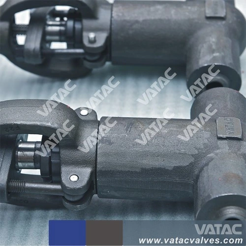 Butt Weld or Socket Weld Forged Gate Valve with Bw or Sw