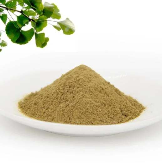 High quality/High cost performance  Ginkgo Biloba Leaf Extract Powder CAS 90045-36-6