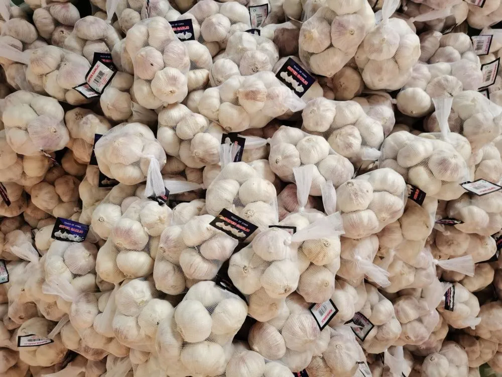 2020 New Crop for Singapore Garlic