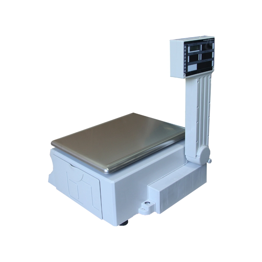 Electronic Weighing Scales Barcode Label Printing Scale for Fruit Shop (HCC-ACS10)