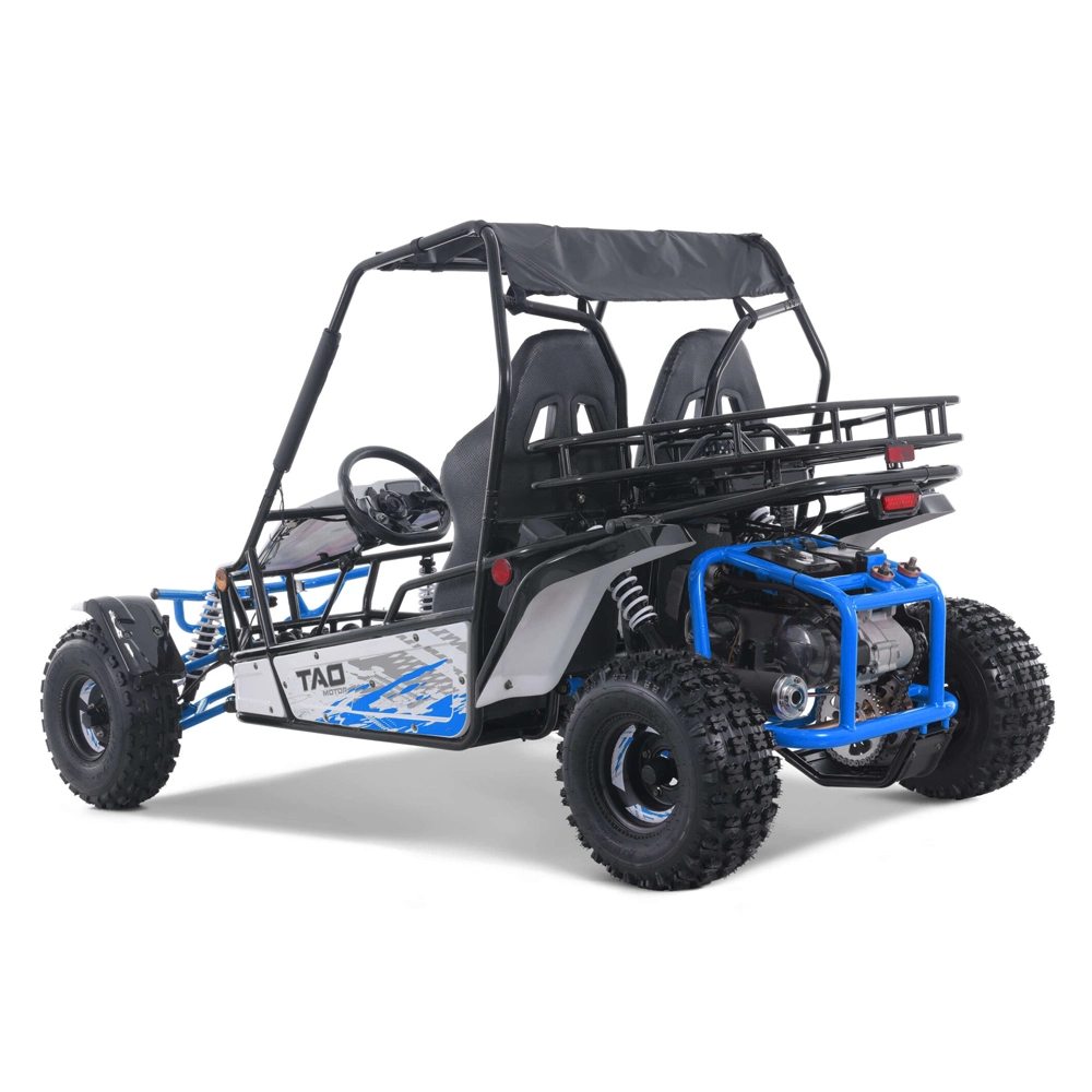 Adult Go Cart Road Legal Dune Buggy Racing Go Kart