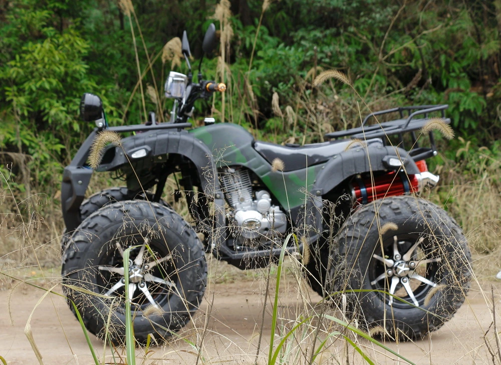 Velocidad de 4 ruedas todoterreno ATV 2WD de karts de montaña