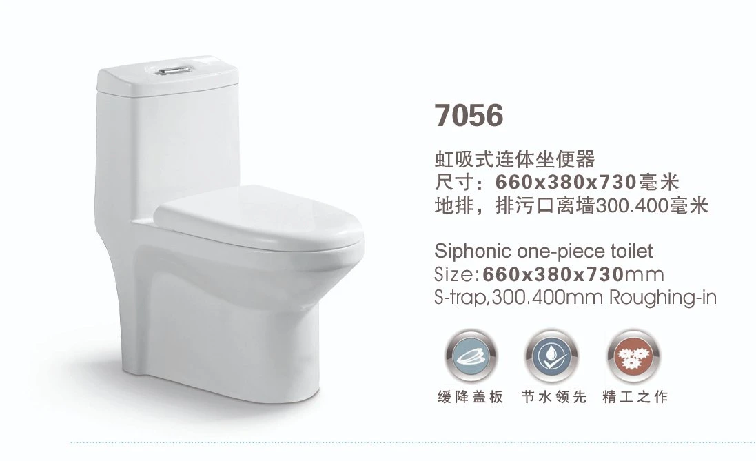 Bathroom Washdown 1 One Piece Ceramic Sanitaryware Water Closet Wc Toilet