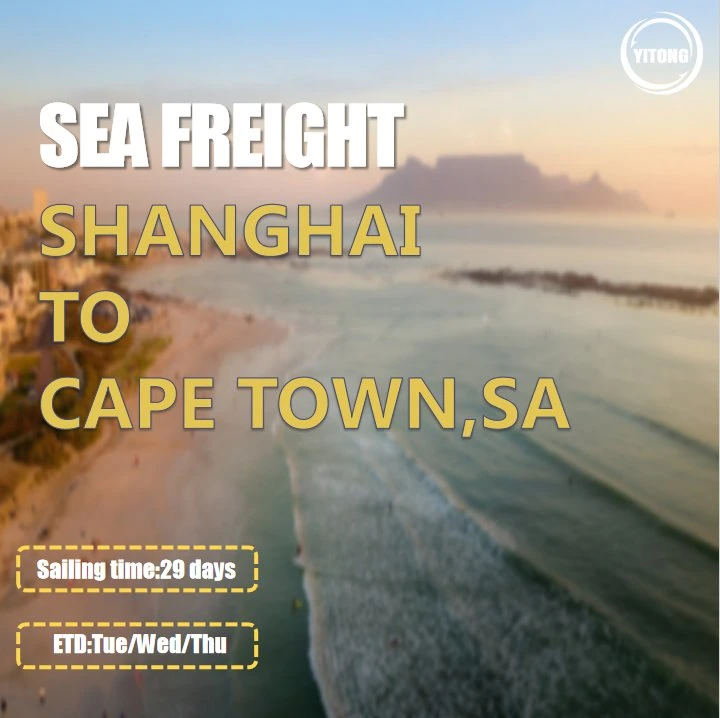 Ningbo Sea Air Shipping Agent para Cape Town África do Sul