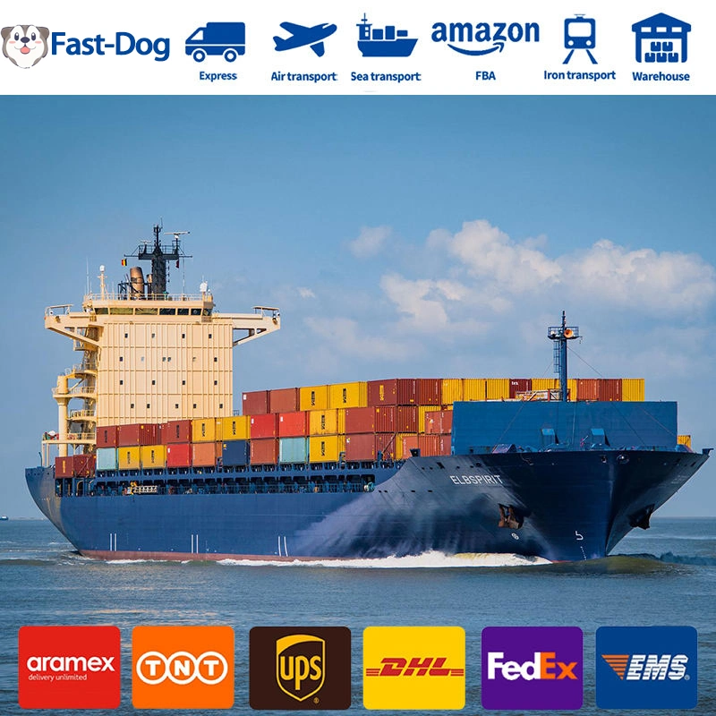 Tür zu Tür Service DHL FedEx Ocean DDP günstigste Meer Frachtraten Spediteur Shenzhen Shipping Agent von China nach Indien