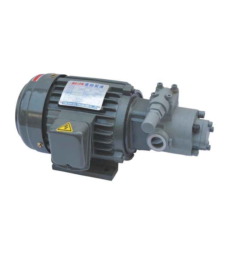 Iron Shell Direct Link Motor Direct Plug Motor Pump Zubehör Für Drehmaschinen-Schmierteile