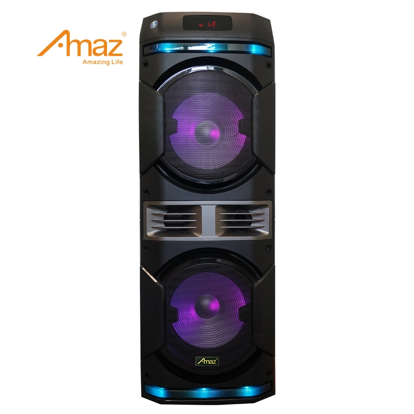 2 * 10inch Tragbarer professioneller, wiederaufladbarer DJ Karaoke Sound Box-Trolley Bluetooth-Lautsprecher