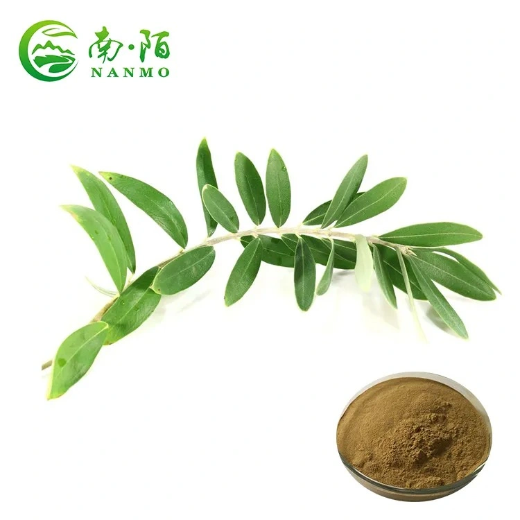 Top Sale Guaranteed Quality New Olive Leaf Extract Power 5% ~98% Oleuropein