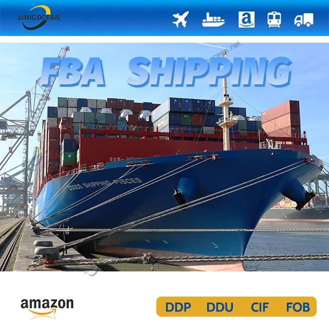 Cargo Ships Door to Door Service Shipping From China to France