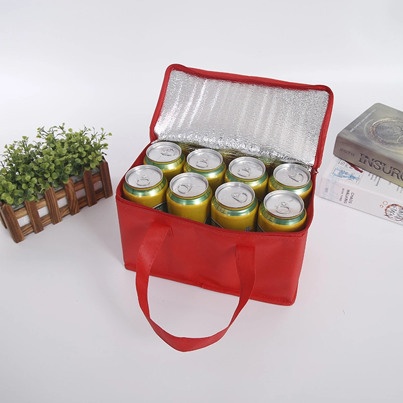 Gran Picnic Bolsa plegable Enfriador de aislamiento térmico de las bolsas de hielo de entrega del cuadro