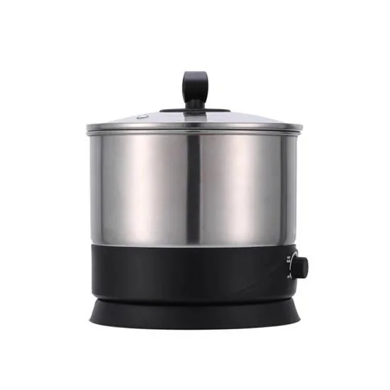 Pot à nouilles en acier inoxydable 1.2 litres de pot à cuisine rapide électrique