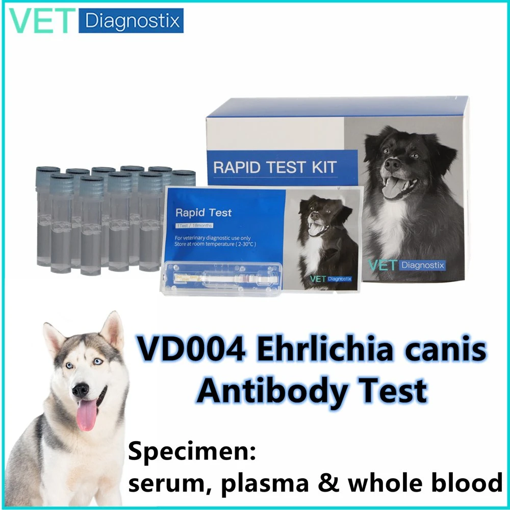 Kit de Prueba rápida de la Ehrlichiosis Ehrlichia canis Kit de Prueba rápida en perros