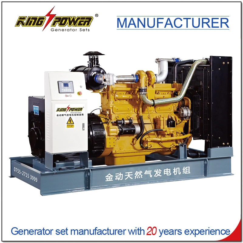 Professional Supplier of 7*24 Hours 20kw Open Silent Natural Gas Biogas CNG LNG LPG Generator