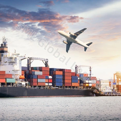 Professional Air Shipping Service Sea Shipping From China to Singapore/UK/USA/Canada/Au