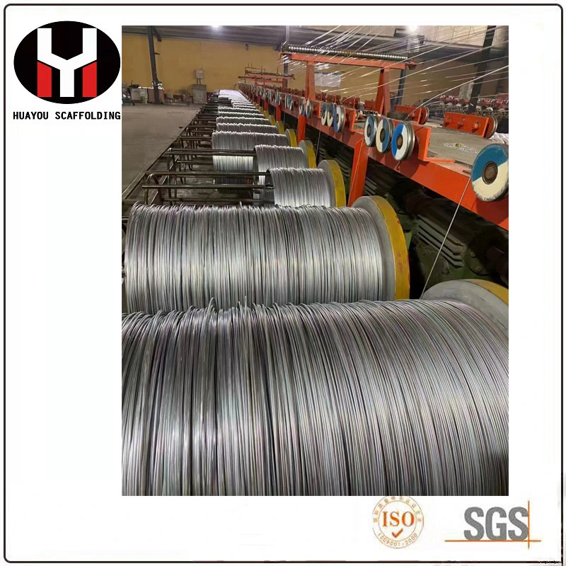 Electro Galvanized Steel Wire Welded Wire Mesh Stainless Steel Wire for Fencing