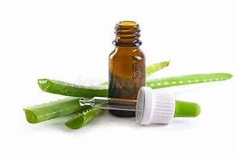 Preço razoável 100% natural extrato vegetal extrato de aloe vera puro cápsulas de pó