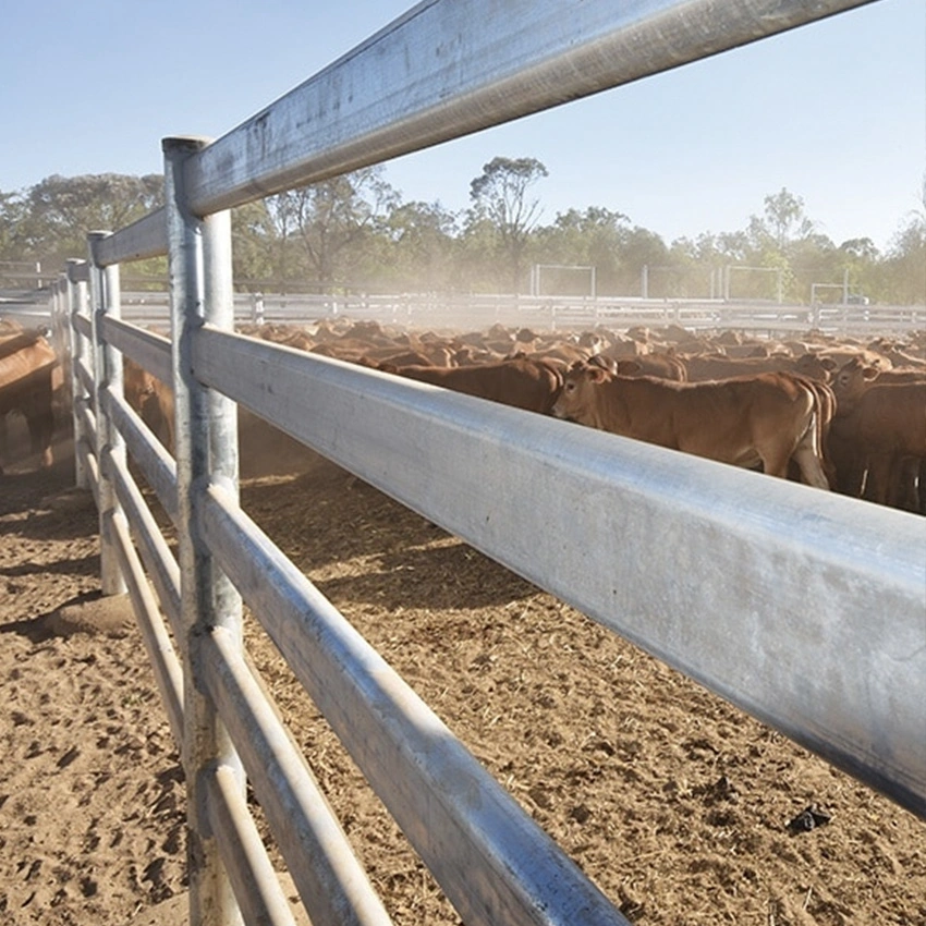 Anti Rust Pipe Livestock Farm Fence panel Cheap Cattle Fence Panel