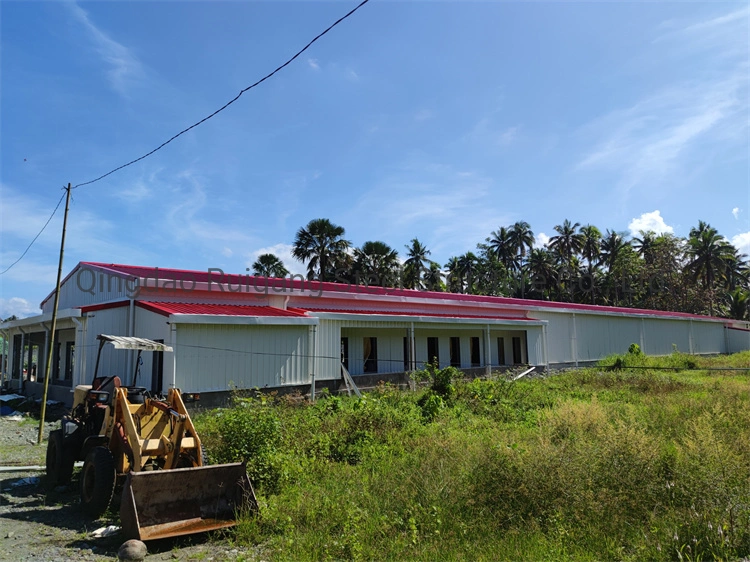 Cheap Layer Cages Egg Chicken Poultry Farm with Factory Design Steel Structure