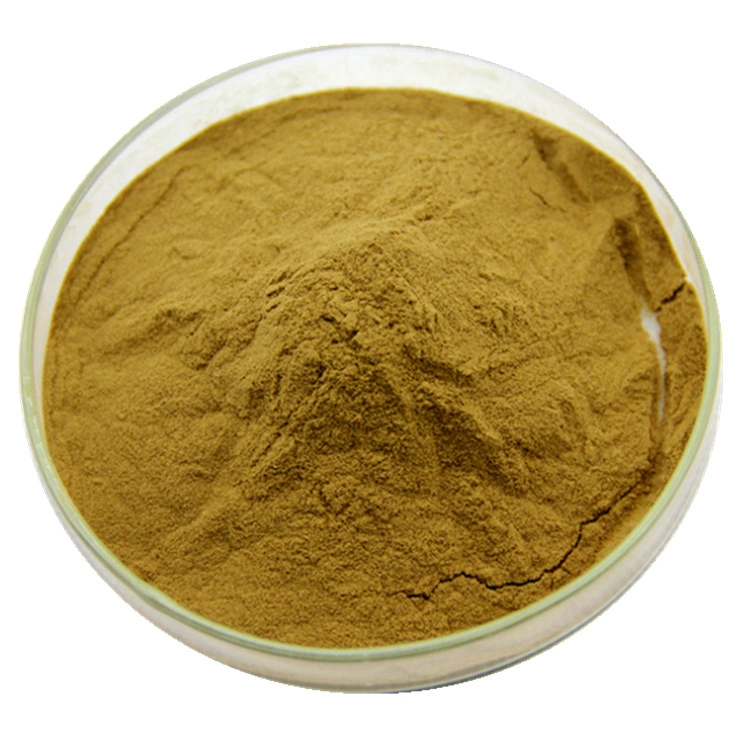 New Arrival Green Tea Extract Powder Gamellia Sinensis with 90% Catechins