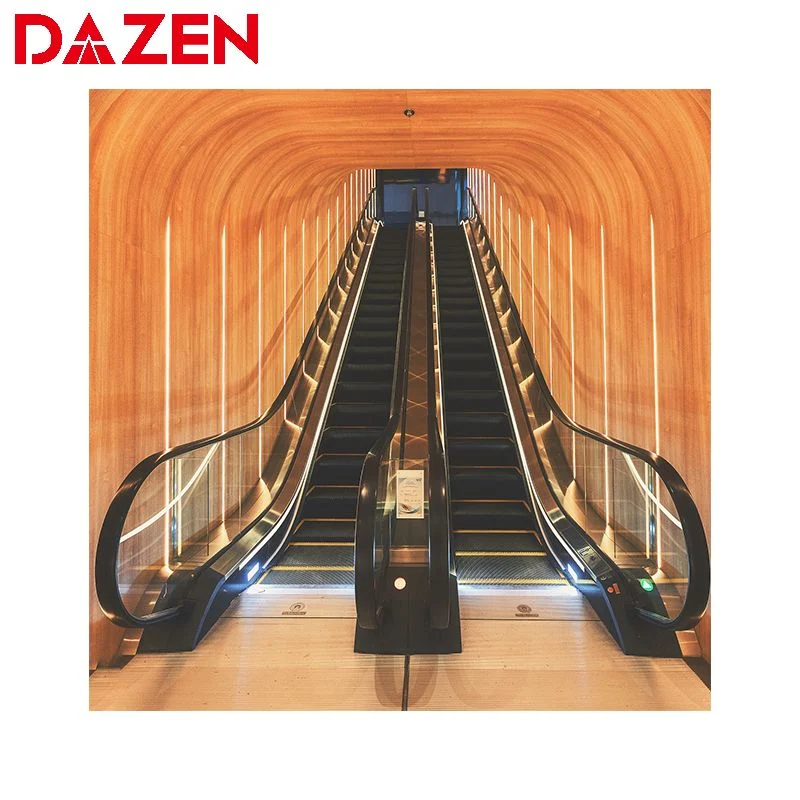 Good Price Escalator 800/1000 mm Step Width 30/35 Degree Shopping Mall Indoor Lighting