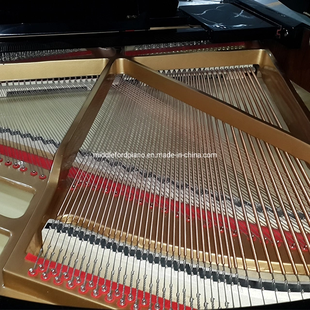 Middleford Acoustic Grand Piano with Piano Bench and Accessories