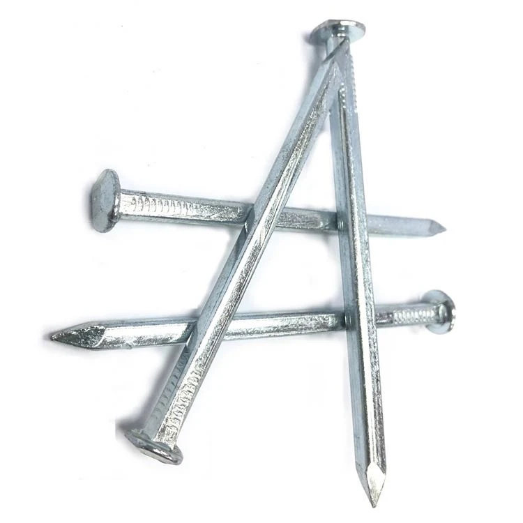 High quality/High cost performance Galvanized Square Boat Nails Original Factory Common Nails Square Boat Nails