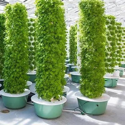 Wholesale/Supplier Household Cheap Vertical Tower Indoor Hydroponic Garden Indoor Growing Kit China Manufacturer