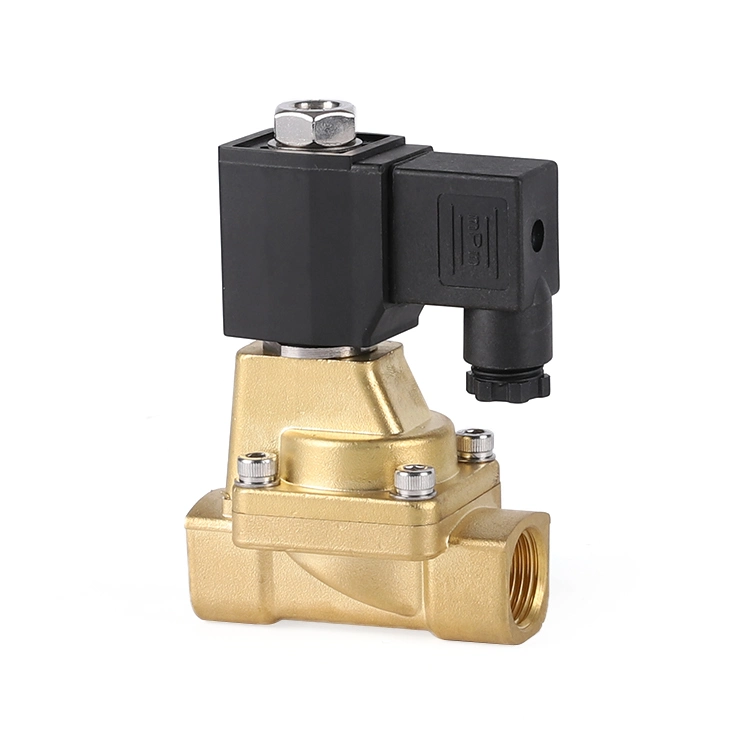 AC110V AC220V DC12V DC24V Brass Stainless 2 Way Solenoid Valve