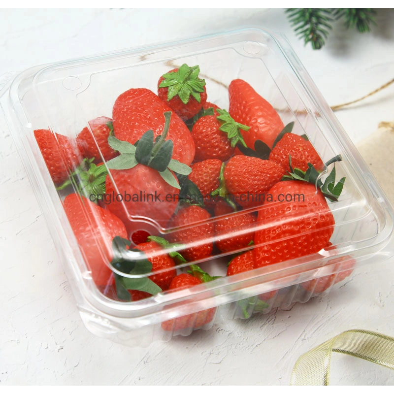 1000g Plastic Vacuum Formed Fruit Packaging