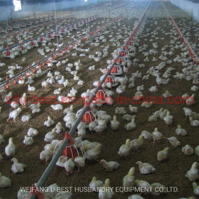 China Automatic Design Free Range Chicken Farming Equipment