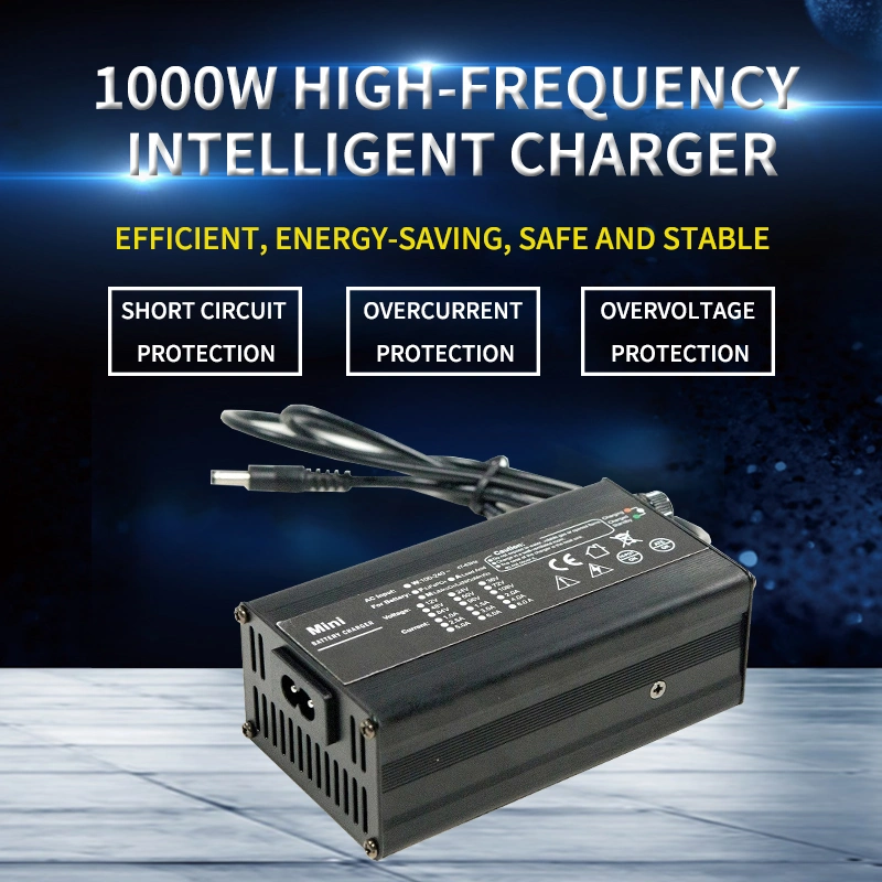 48V 50A Huge Energy Power Lithium Battery Charger Spi-3000-4850wp for 3000W Vehicles