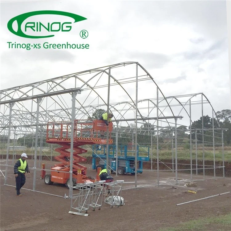 Commercial Film High Tunnel Multi-span Greenhouse
