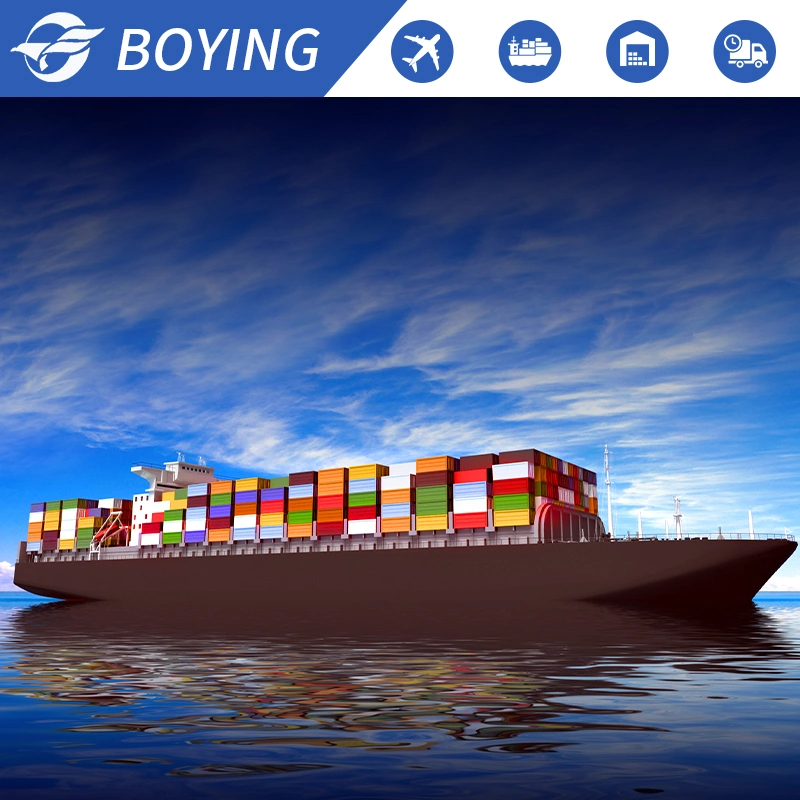 20 Years Fast Delivery Air Shipping Sea Freight Forwarder Logistics Shipping Agent From China to USA