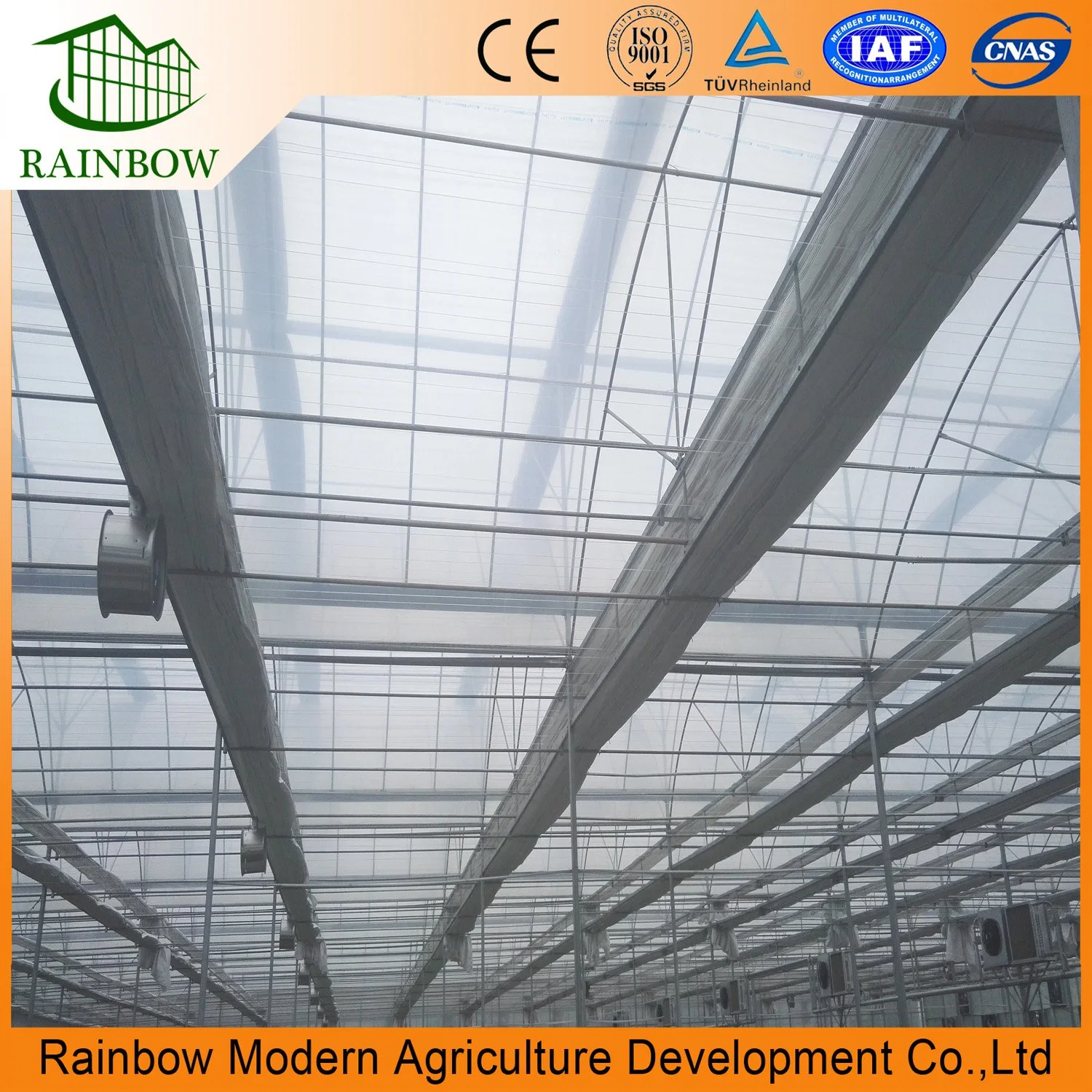 Hot Tunnel Film Greenhouse with Hydroponic Farming Systems