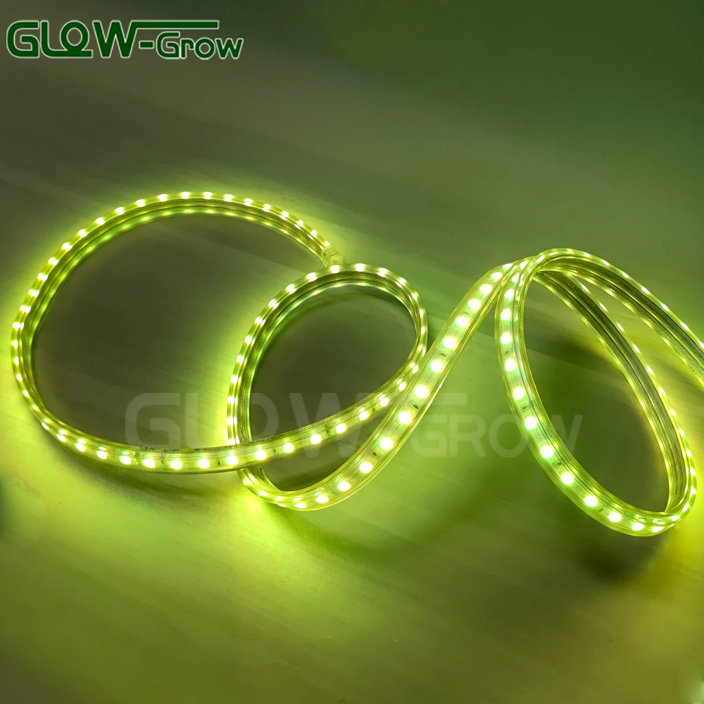 IP65 Flexible Color Changing High Voltage PVC Rope Light RGB LED Strip Light with IC Design

Lumière de corde en PVC haute tension flexible IP65 changeant de couleur avec bande LED RGB à design IC.