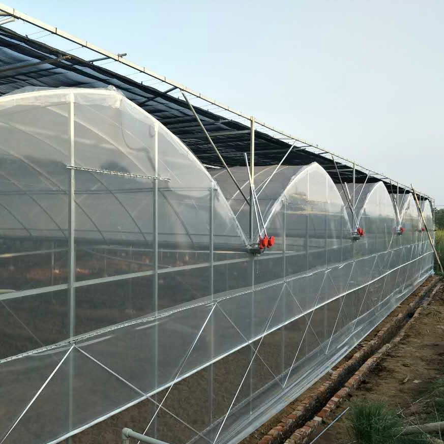 200 Mircon Plastic Film Tunnel Greenhouse for Tomato